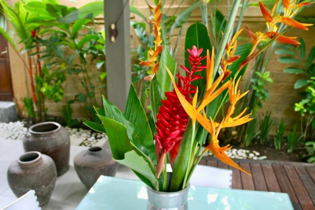 Villa Taman Rahasia, Sitara Villa Group Seminyak Eksteriør billede